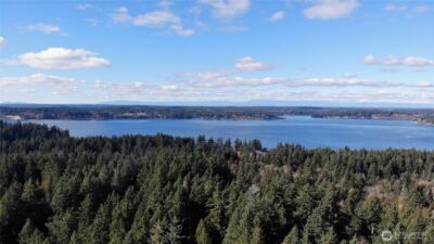 8912 126th Avenue Ct , Anderson Island, WA 98303 - Photo 26
