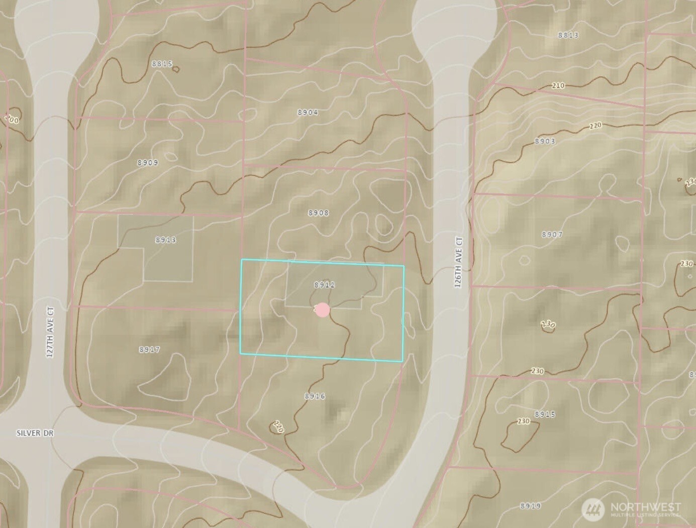 8912 126th Avenue Ct , Anderson Island, WA 98303