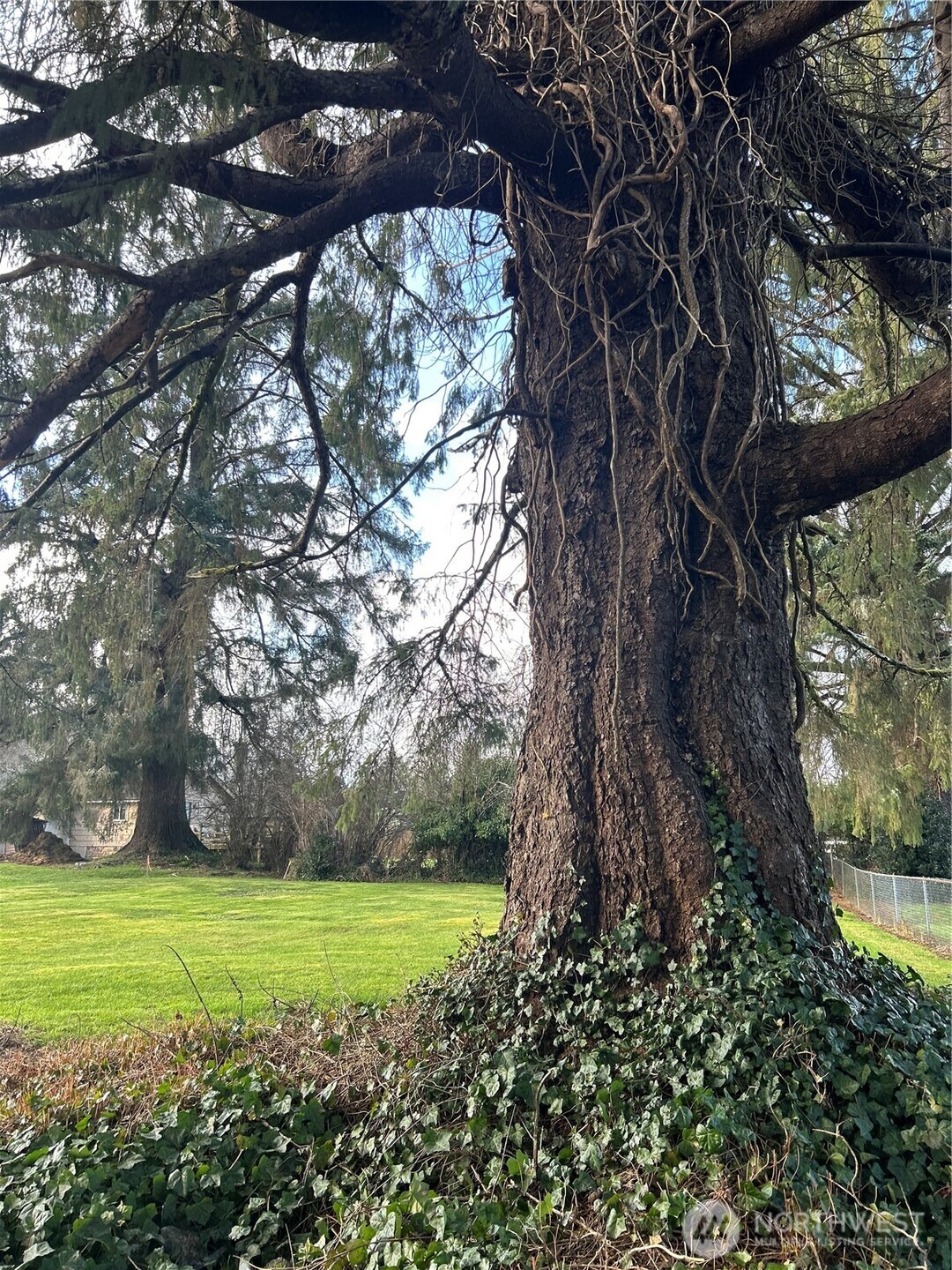 1365 Dolan Street , Raymond, WA 98577