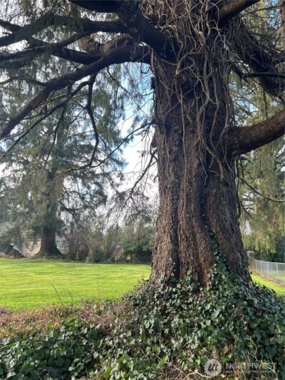 1365 Dolan Street , Raymond, WA 98577 - Photo 23