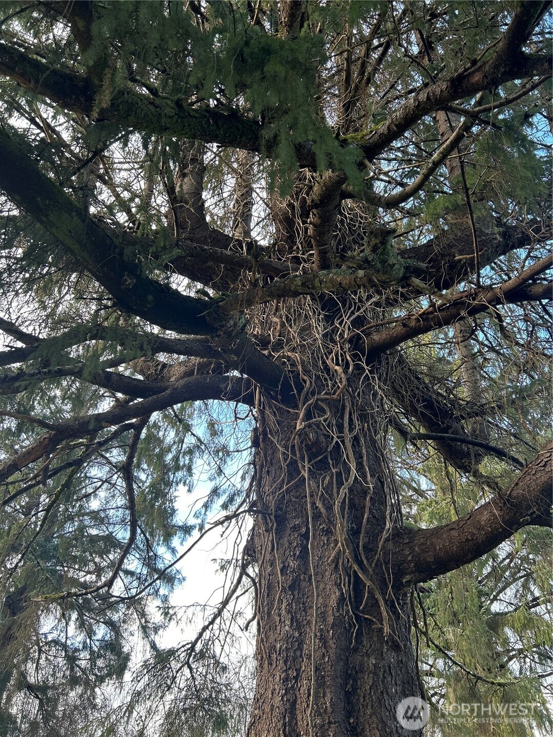 1365 Dolan Street , Raymond, WA 98577