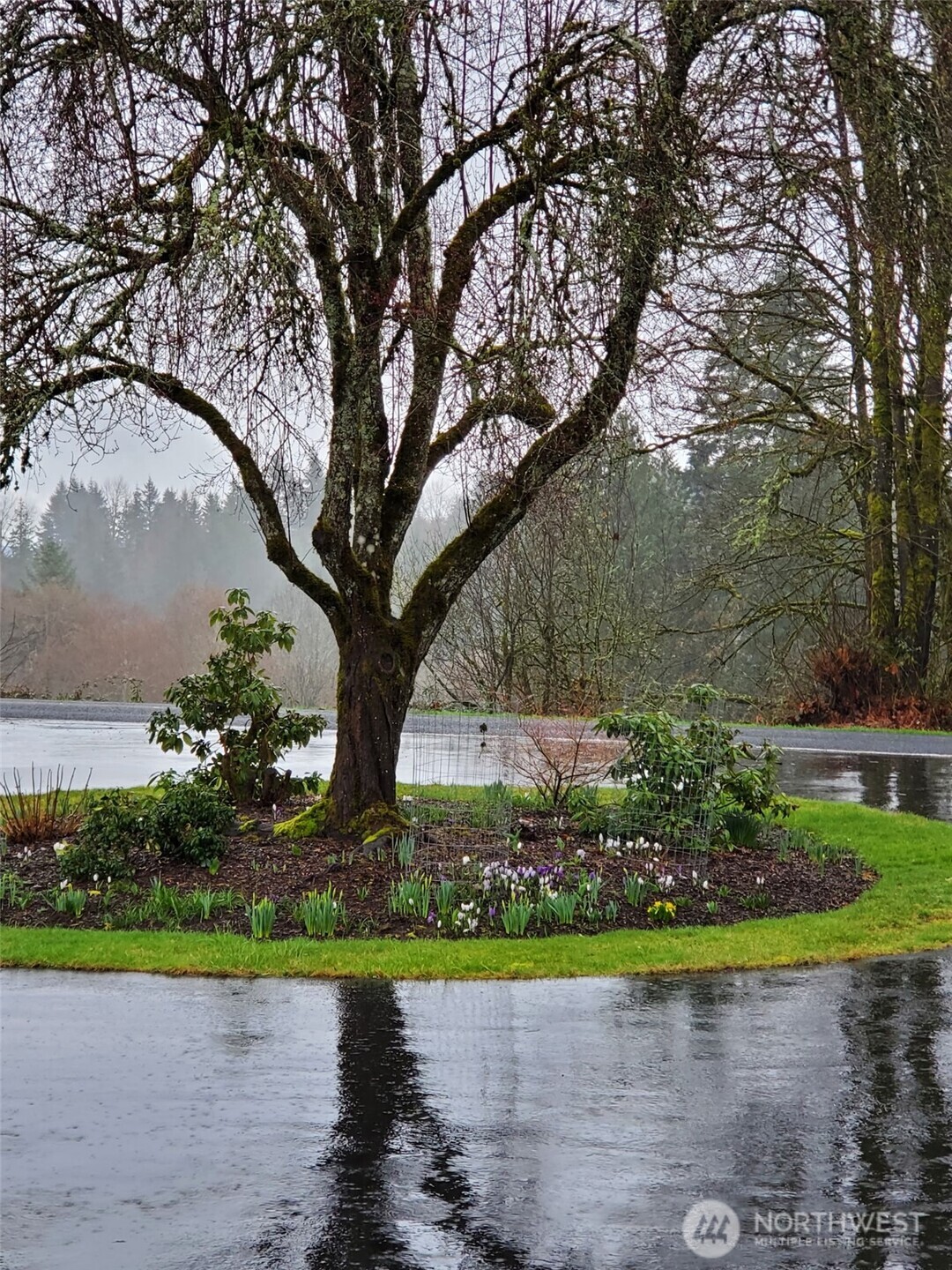 570 Drews Prairie Road , Winlock, WA 98596