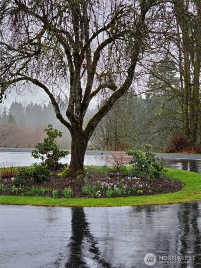 570 Drews Prairie Road , Winlock, WA 98596 - Photo 29