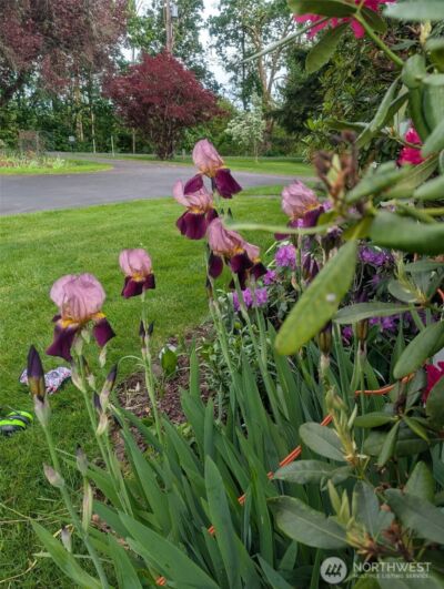 570 Drews Prairie Road , Winlock, WA 98596 - Photo 31