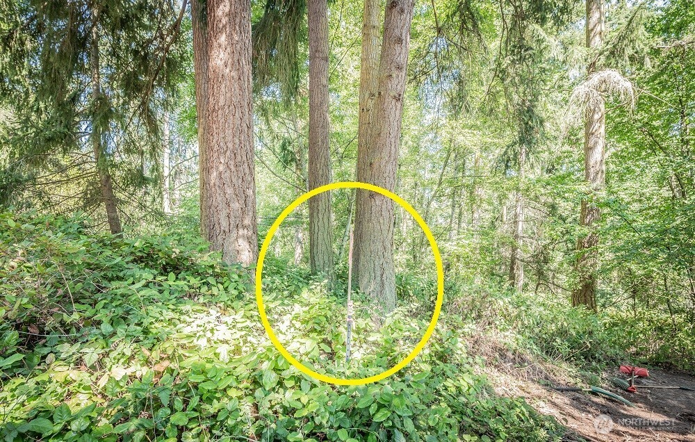 28 Buckhorn Place , Port Townsend, WA 98368