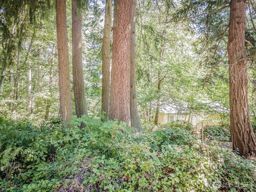 28 Buckhorn Place , Port Townsend, WA 98368