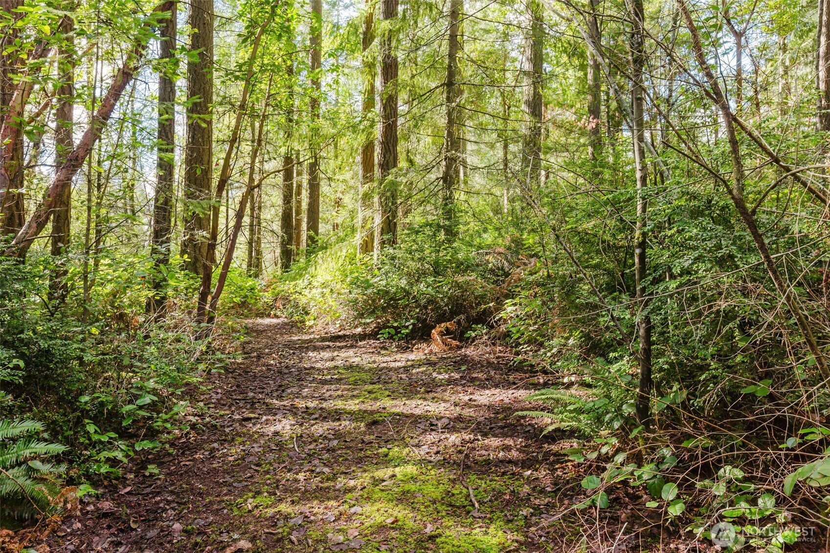 15224 32nd Avenue NW, Gig Harbor, WA 98332