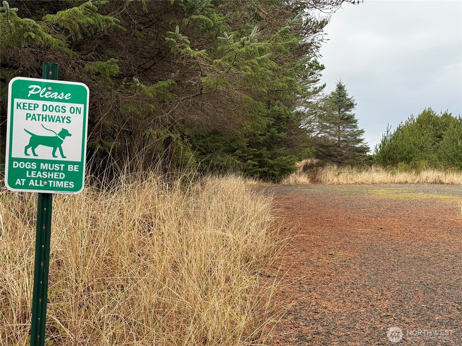 1207 215th Lane , Ocean Park, WA 98640