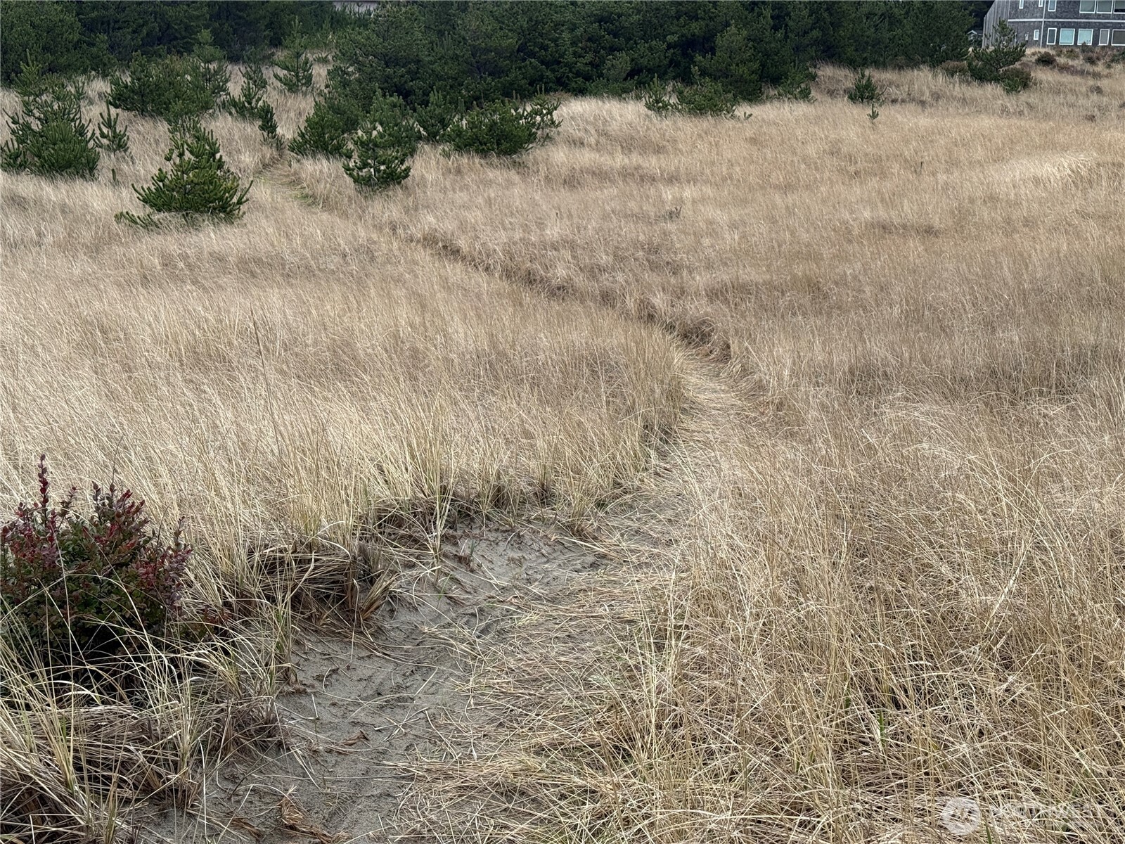 1207 215th Lane , Ocean Park, WA 98640