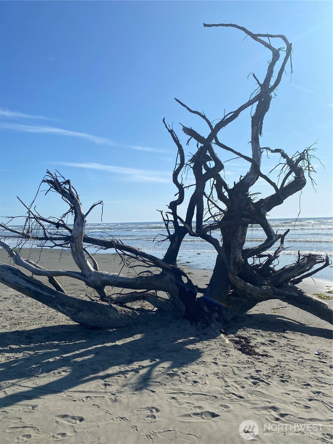 766 Ocean Court NW #114, Ocean Shores, WA 98569