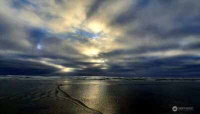 766 Ocean Court NW #114, Ocean Shores, WA 98569 - Photo 18