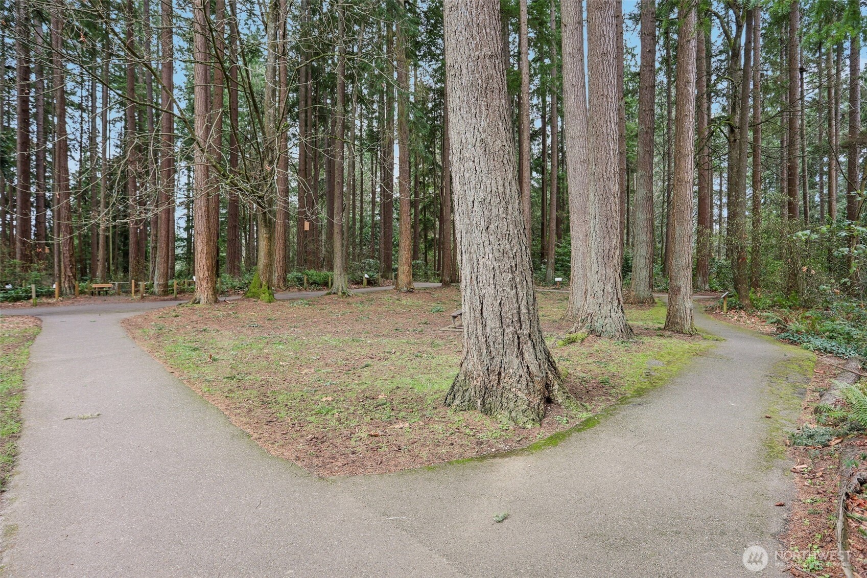 18917 76th Avenue W, Lynnwood, WA 98036