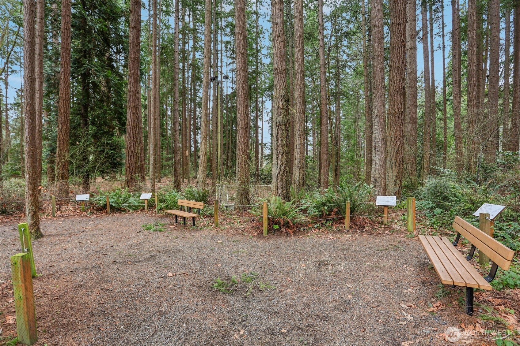 18917 76th Avenue W, Lynnwood, WA 98036