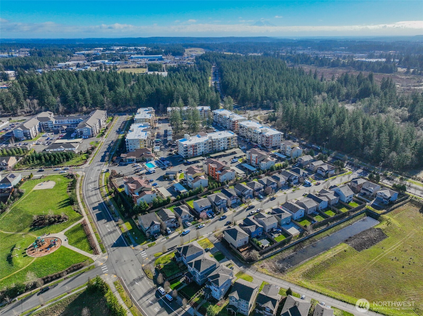 2428 Fiddleback Street NE, Lacey, WA 98516