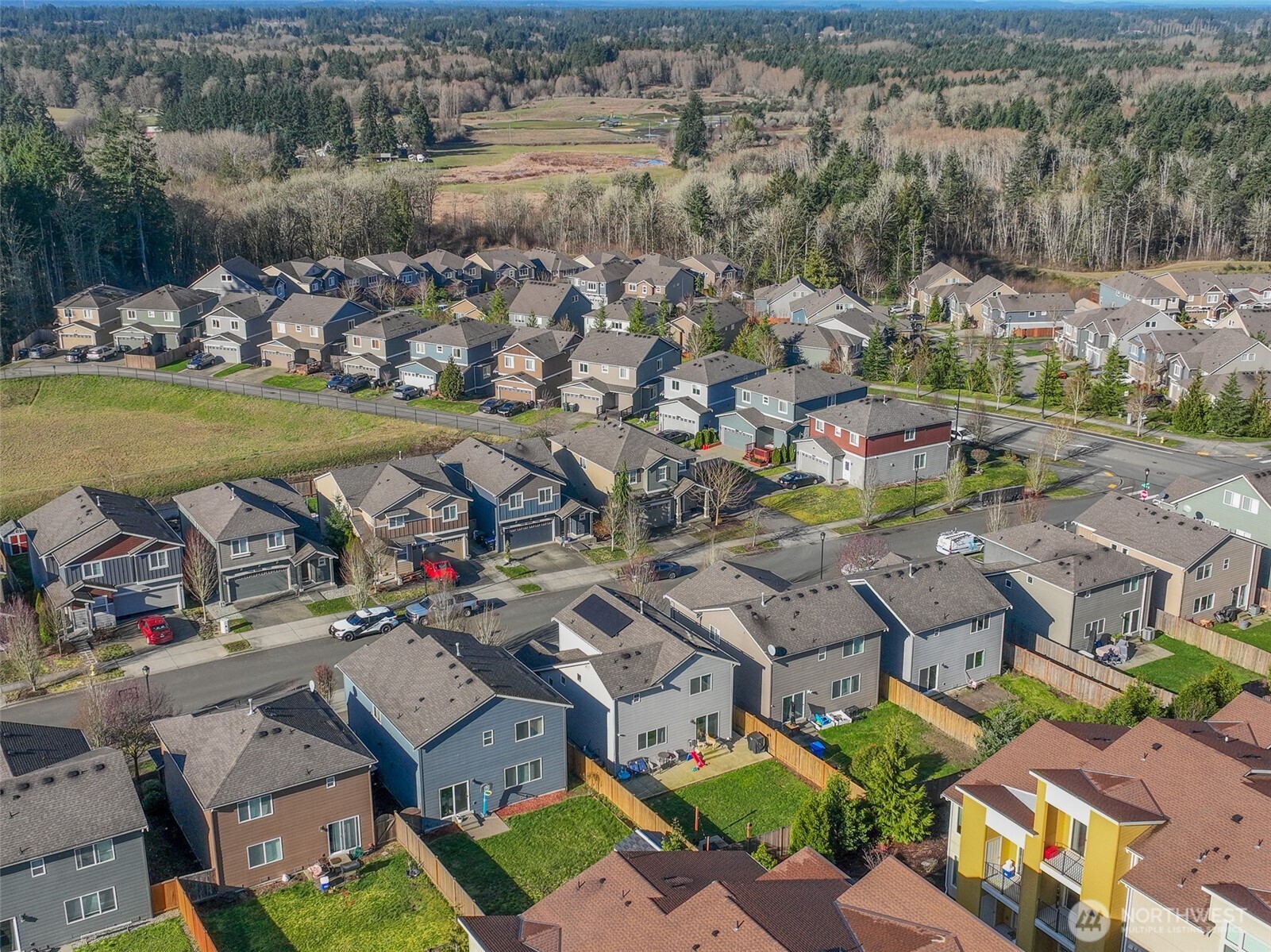 2428 Fiddleback Street NE, Lacey, WA 98516