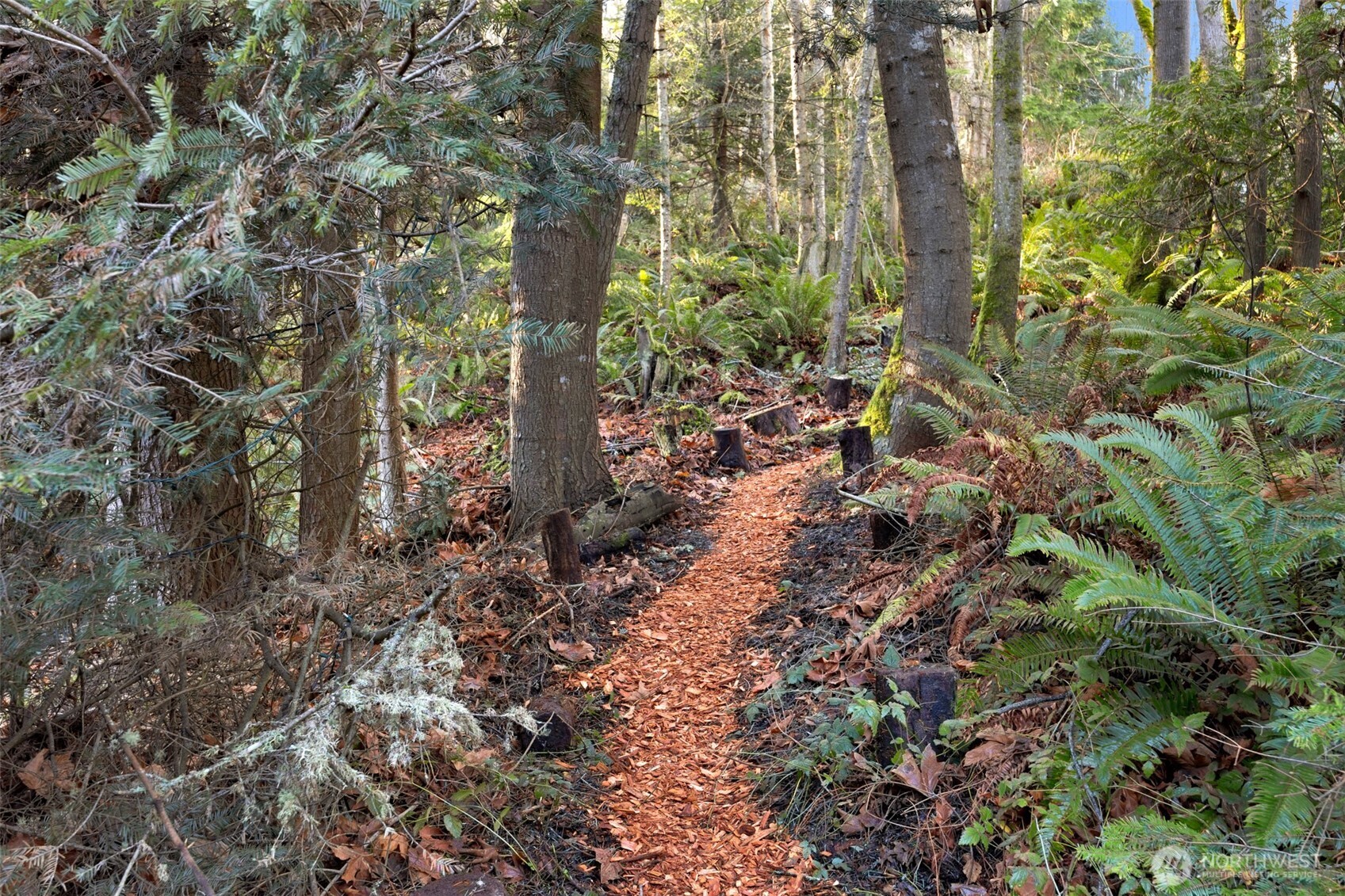 185 Belmont Place , Camano Island, WA 98282