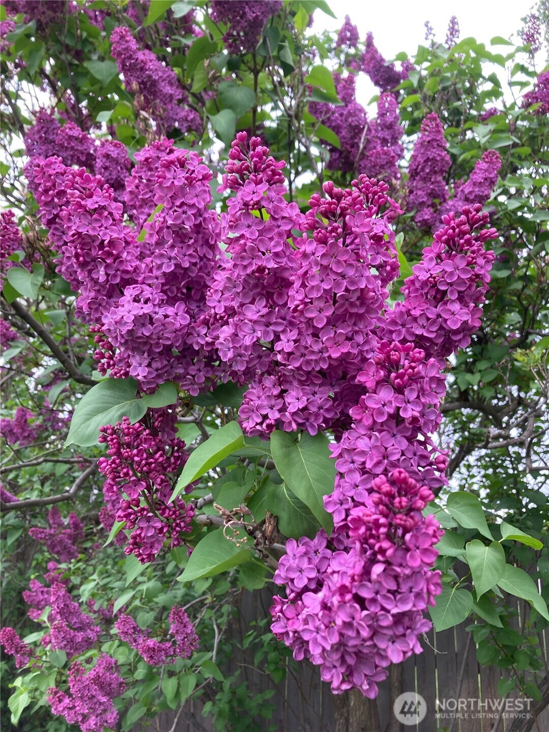 1836 Pike Place , Walla Walla, WA 99362