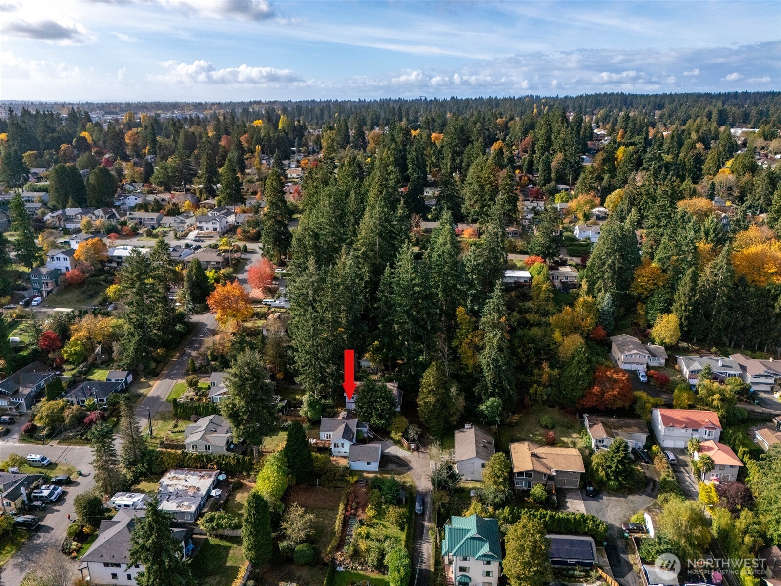 12019 B 25th Avenue NE, Seattle, WA 98125