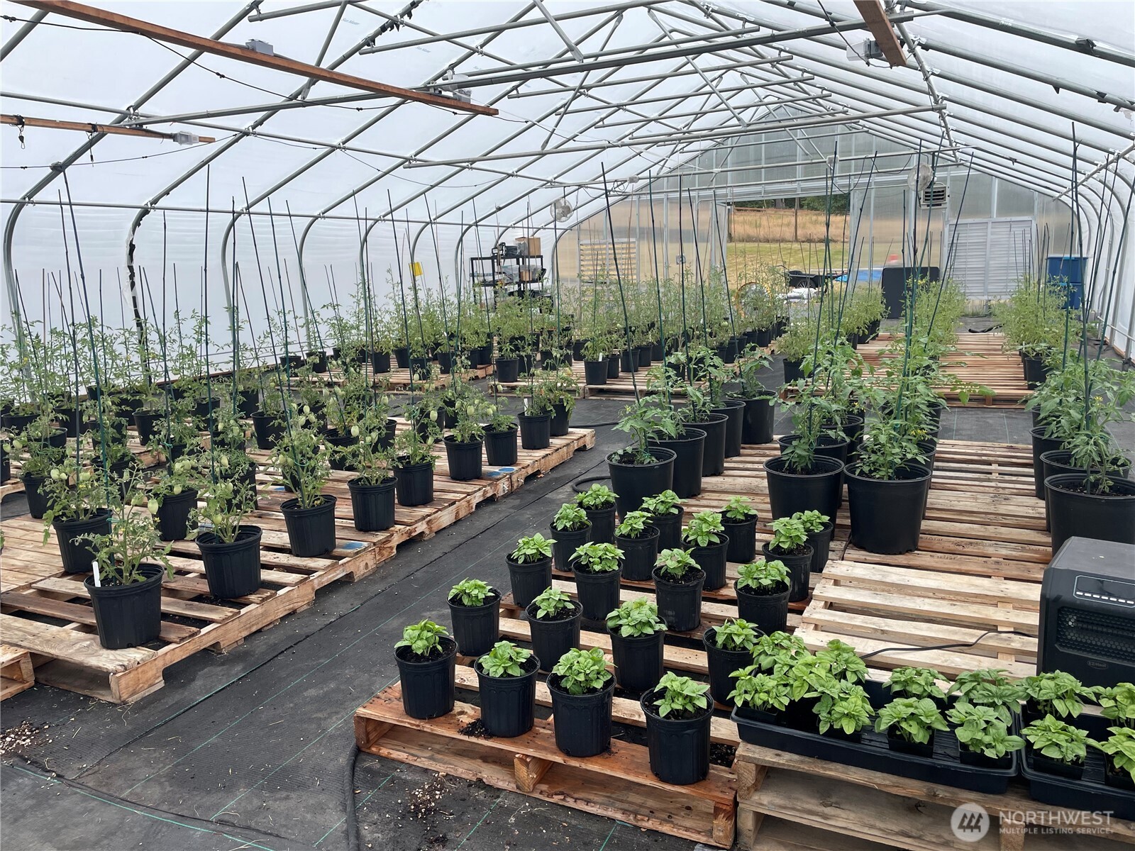 6007 SW 240th Street , Vashon, WA 98070