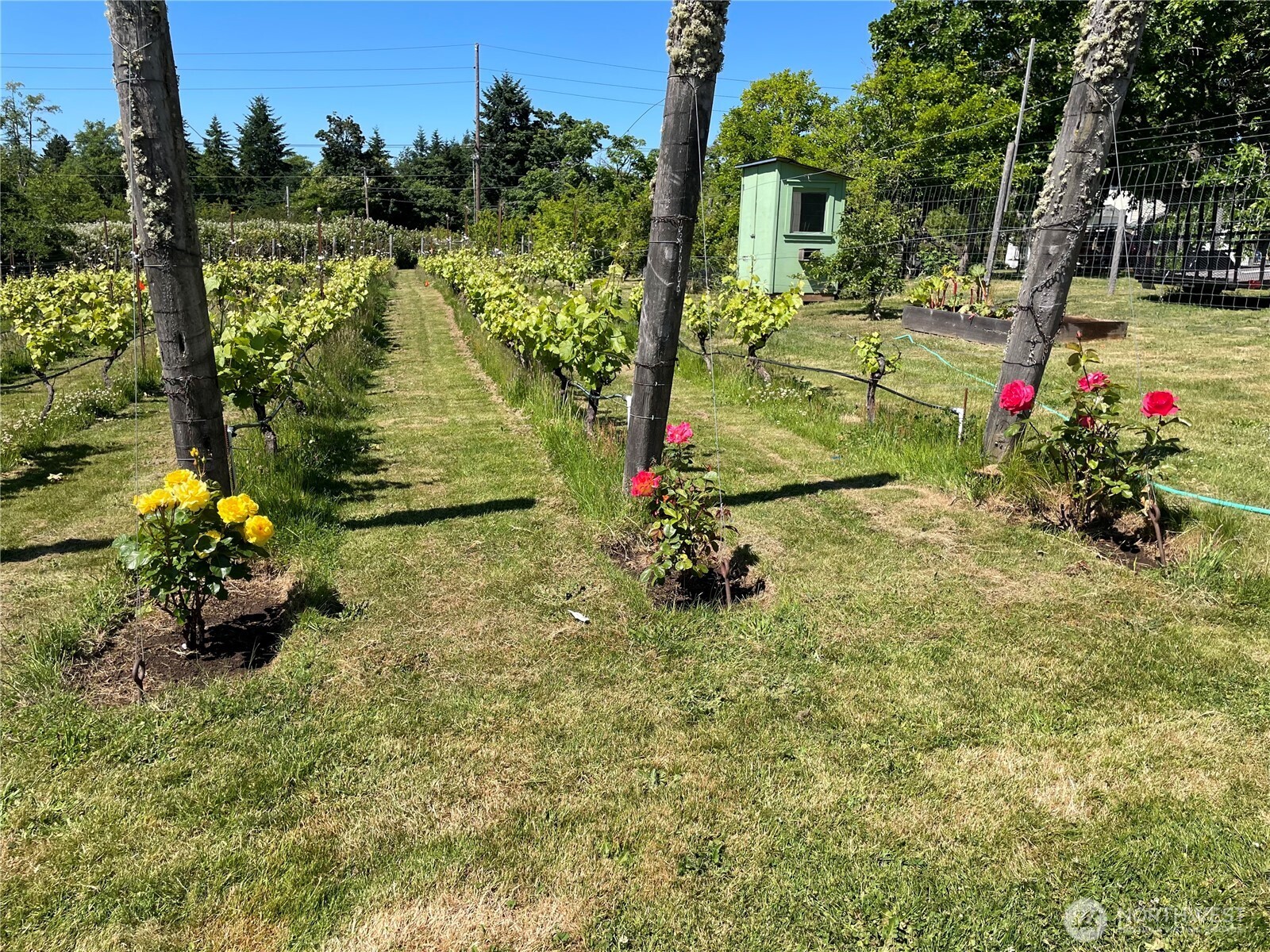 6007 SW 240th Street , Vashon, WA 98070