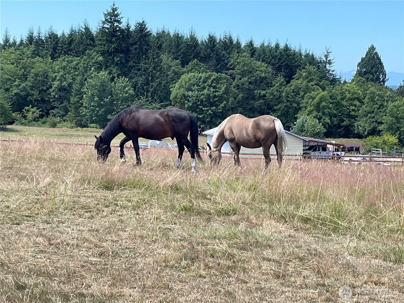 6007 SW 240th Street , Vashon, WA 98070