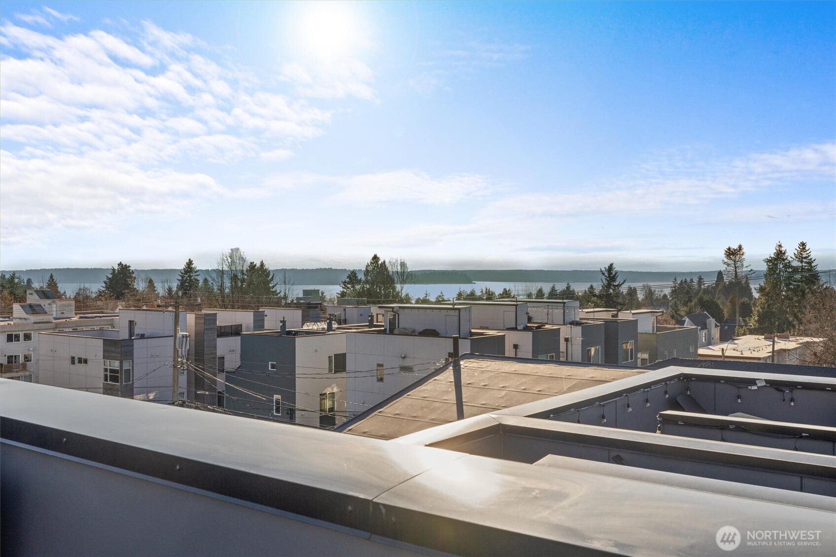 4203 SW Raymond Street , Seattle, WA 98136