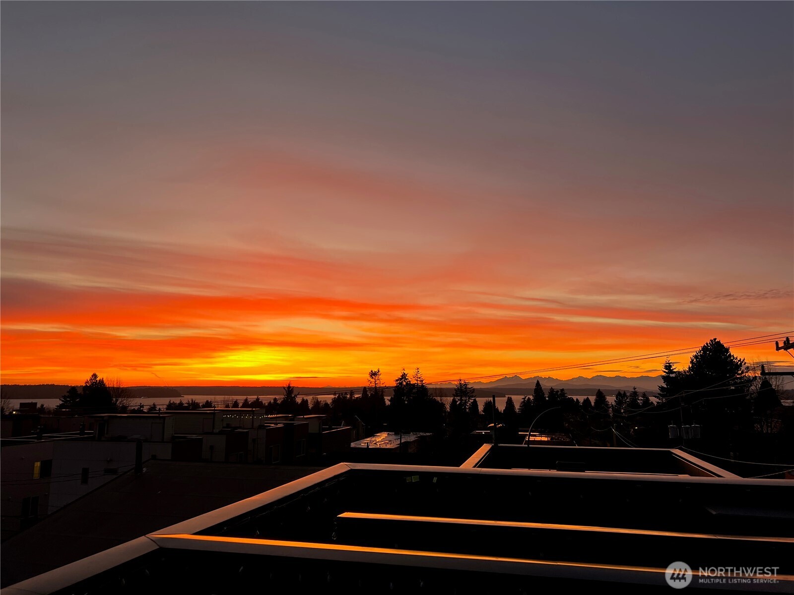 4203 SW Raymond Street , Seattle, WA 98136