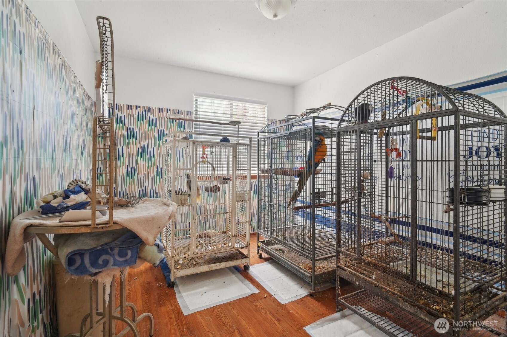 3203 Lake Drive , Lake Stevens, WA 98258