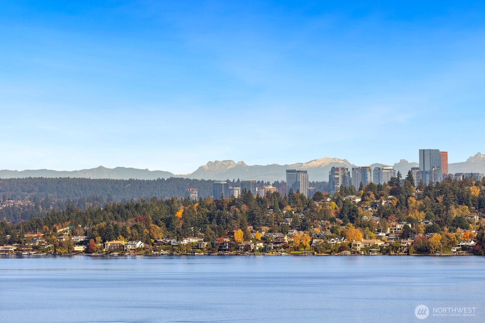 3856 Cascadia Avenue S, Seattle, WA 98118