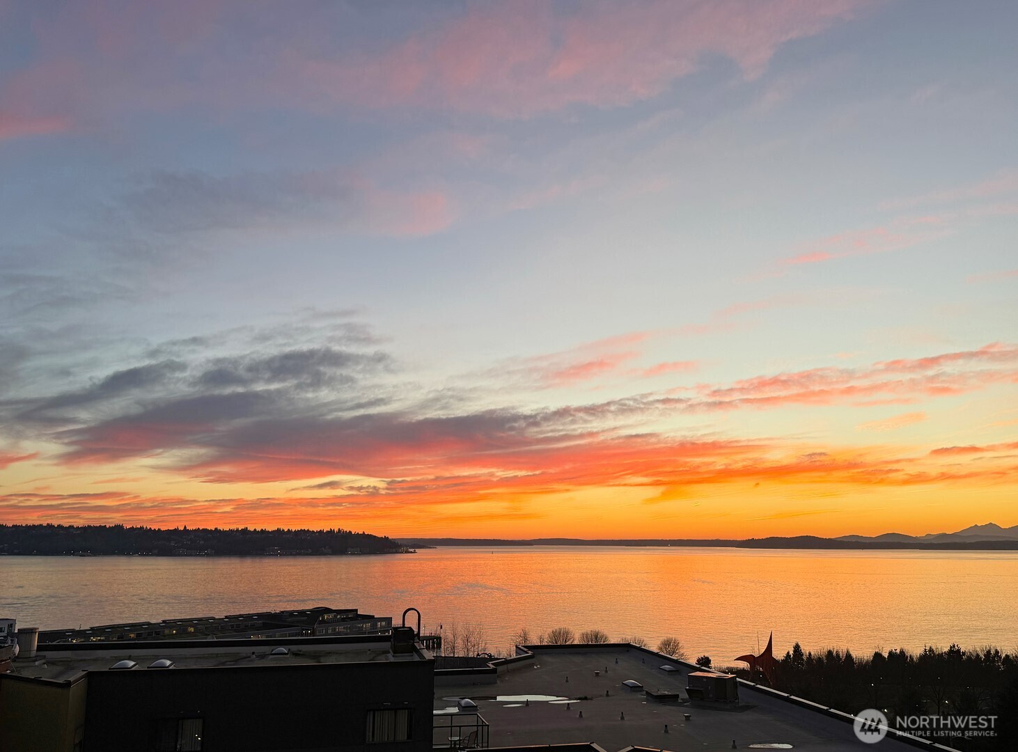 2929 1st Avenue #313, Seattle, WA 98121