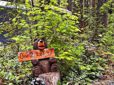 47 Wilderness Way , Deming, WA 98244 - Photo 28