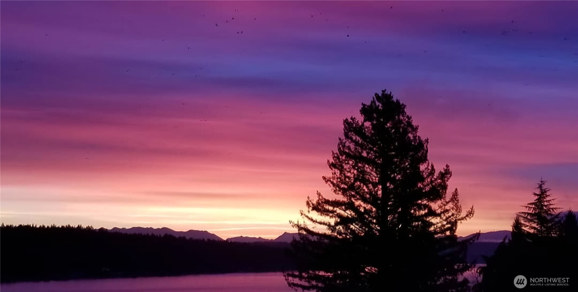 12725 42nd Avenue NE, Seattle, WA 98125