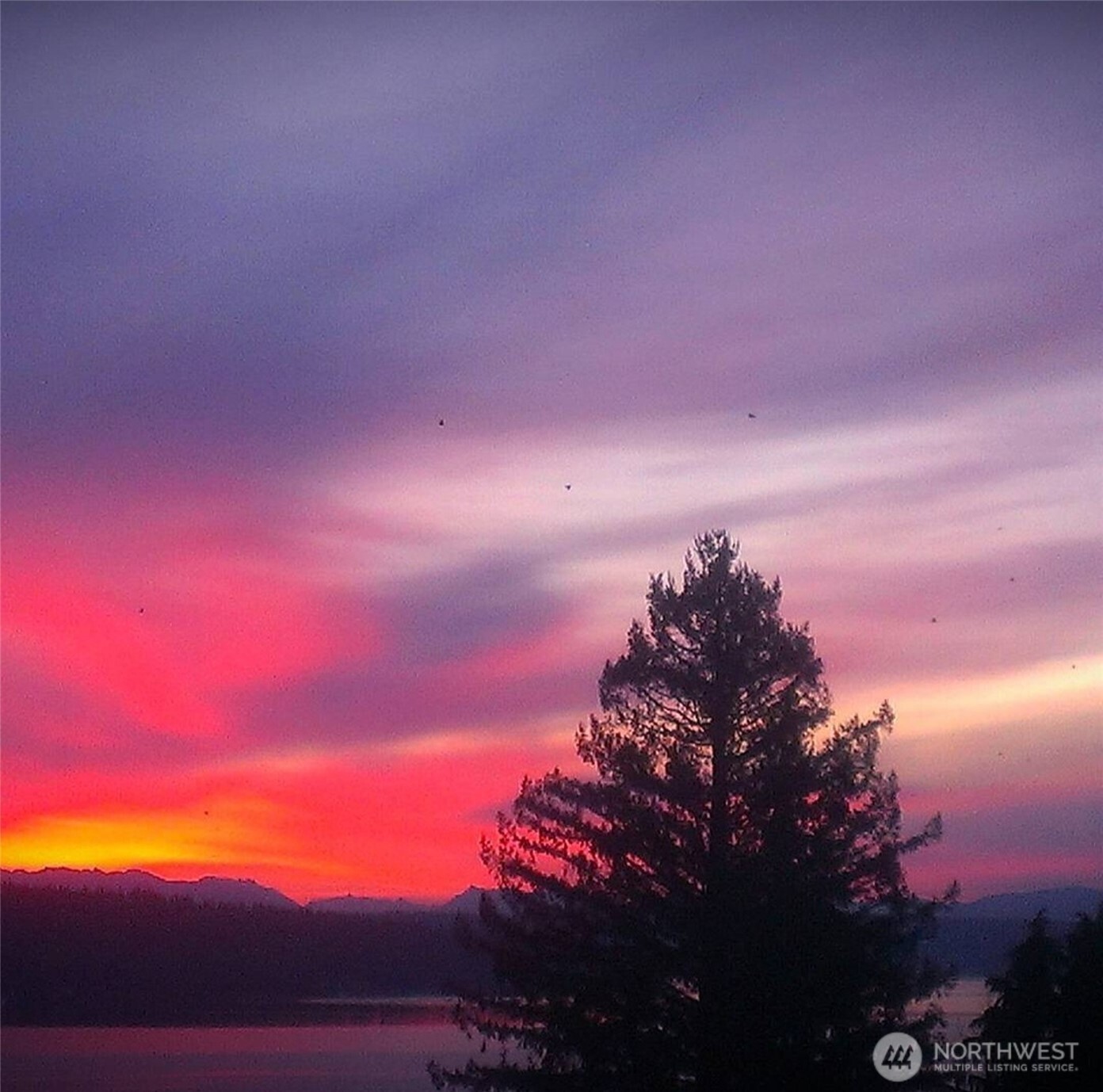 12725 42nd Avenue NE, Seattle, WA 98125