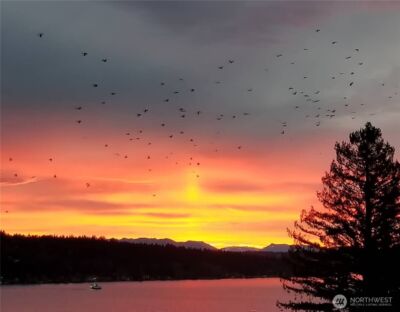 12725 42nd Avenue NE, Seattle, WA 98125 - Photo 17