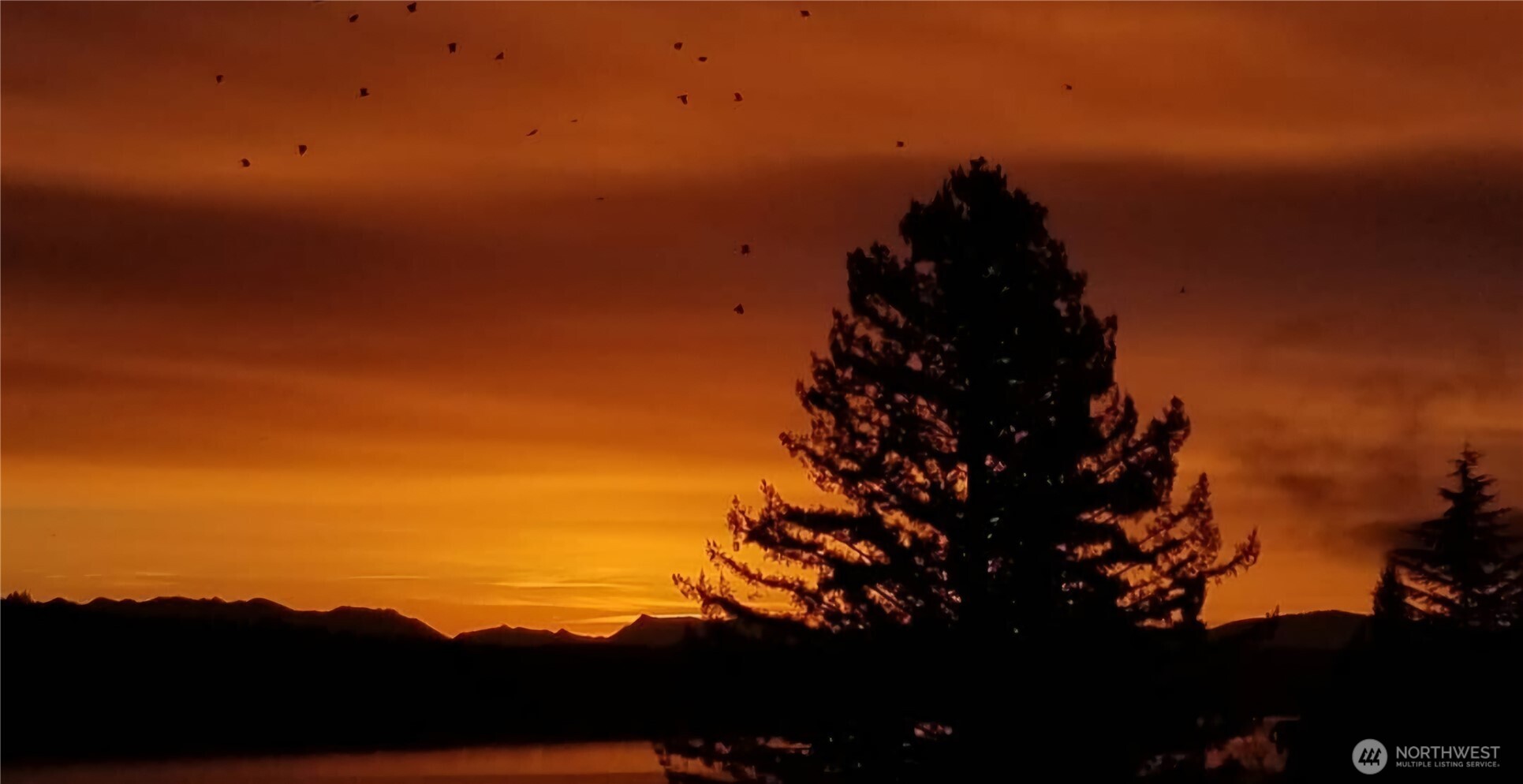 12725 42nd Avenue NE, Seattle, WA 98125