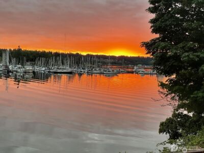 1333 East Bay Drive NE, Olympia, WA 98506 - Photo 3