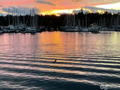 1333 East Bay Drive NE, Olympia, WA 98506 - Photo 4