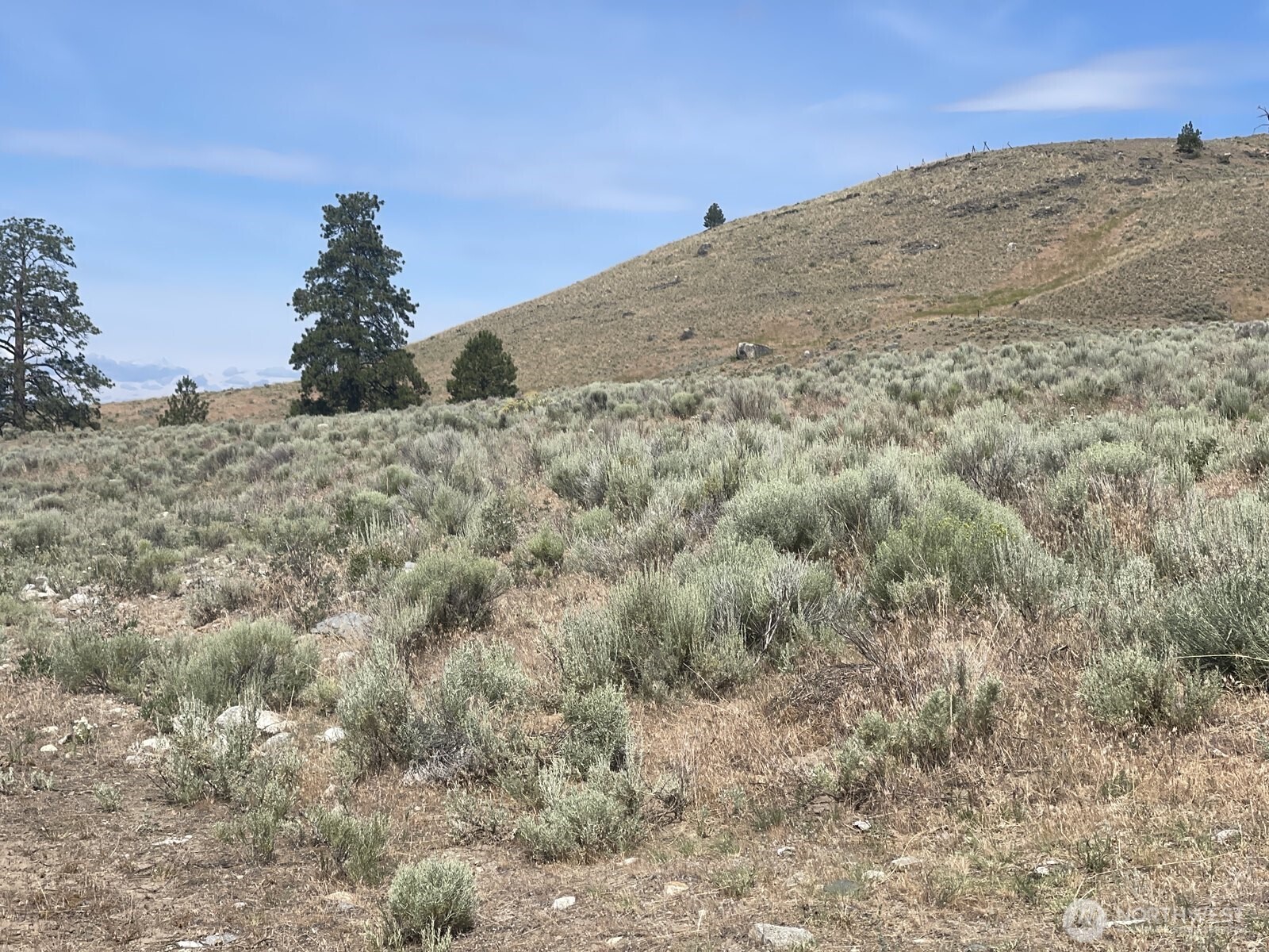16 Breezy Lane , Tonasket, WA 98855