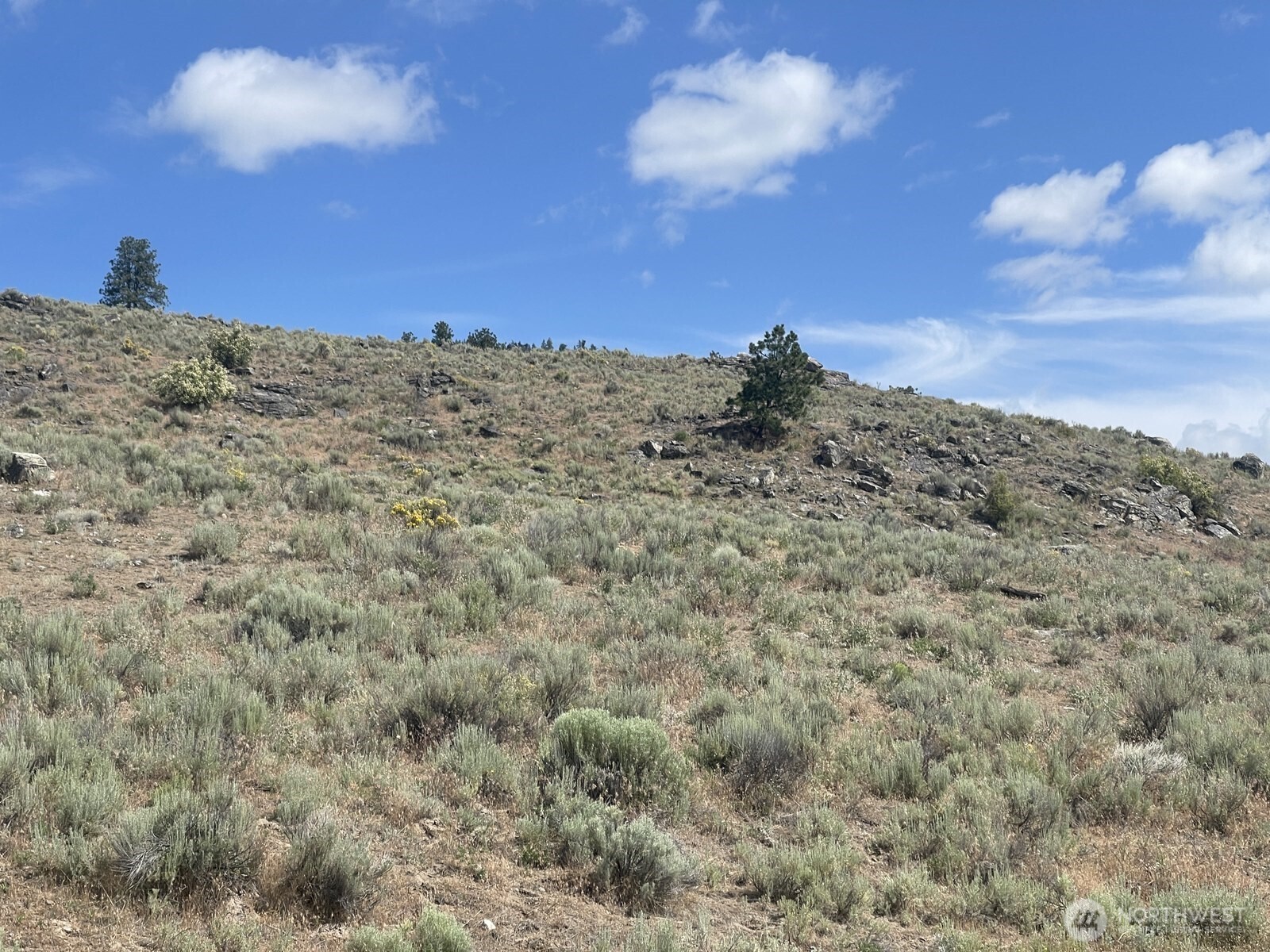 16 Breezy Lane , Tonasket, WA 98855
