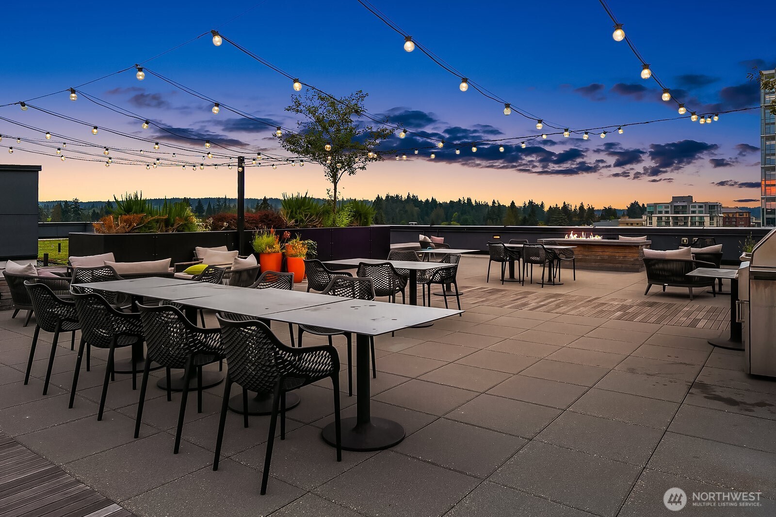 1085 103rd Avenue NE #124, Bellevue, WA 98004