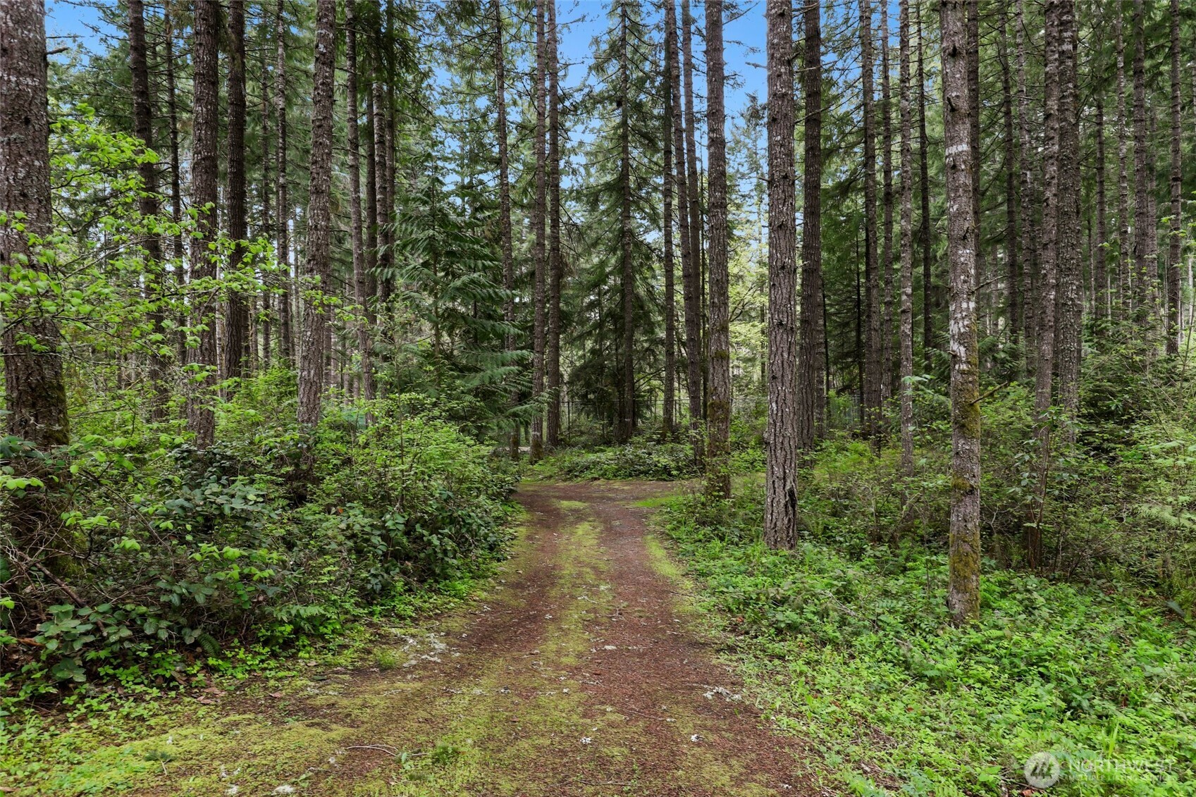 22419 Bluewater Drive SE, Yelm, WA 98597