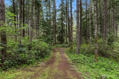 22419 Bluewater Drive SE, Yelm, WA 98597 - Photo 28