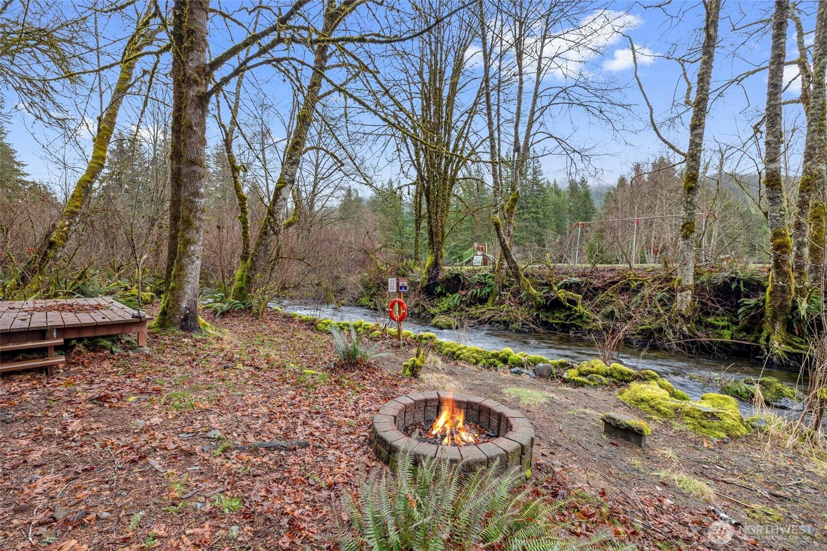 155 Nisqually Way , Ashford, WA 98304