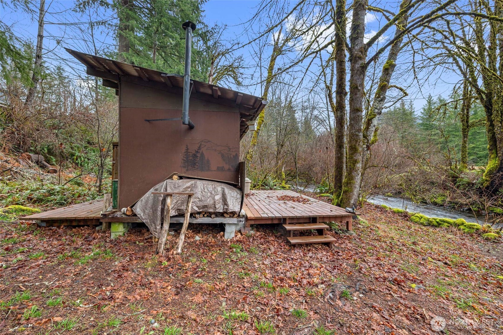 155 Nisqually Way , Ashford, WA 98304