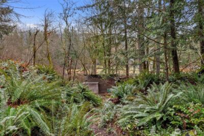 155 Nisqually Way , Ashford, WA 98304 - Photo 19