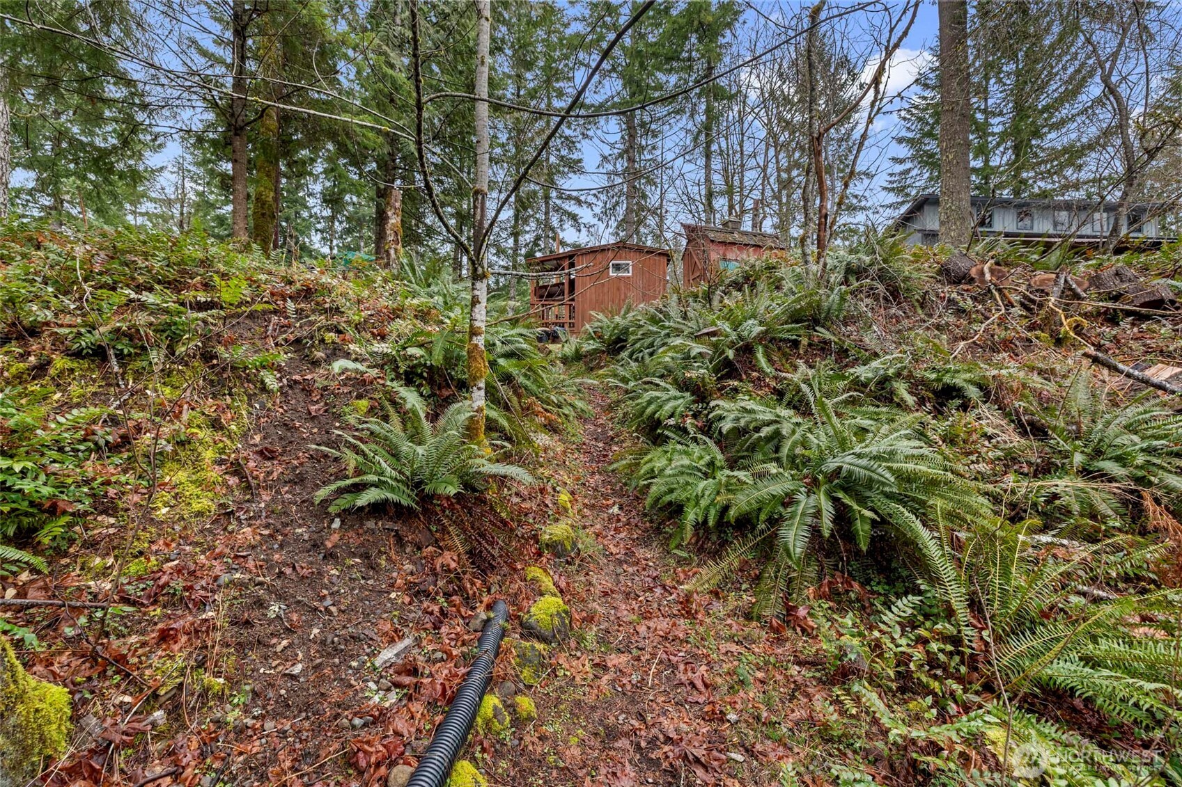 155 Nisqually Way , Ashford, WA 98304