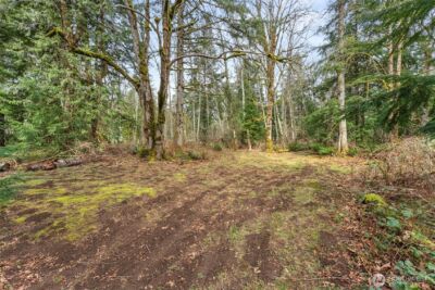 31530 SE 384th Street , Enumclaw, WA 98022 - Photo 26