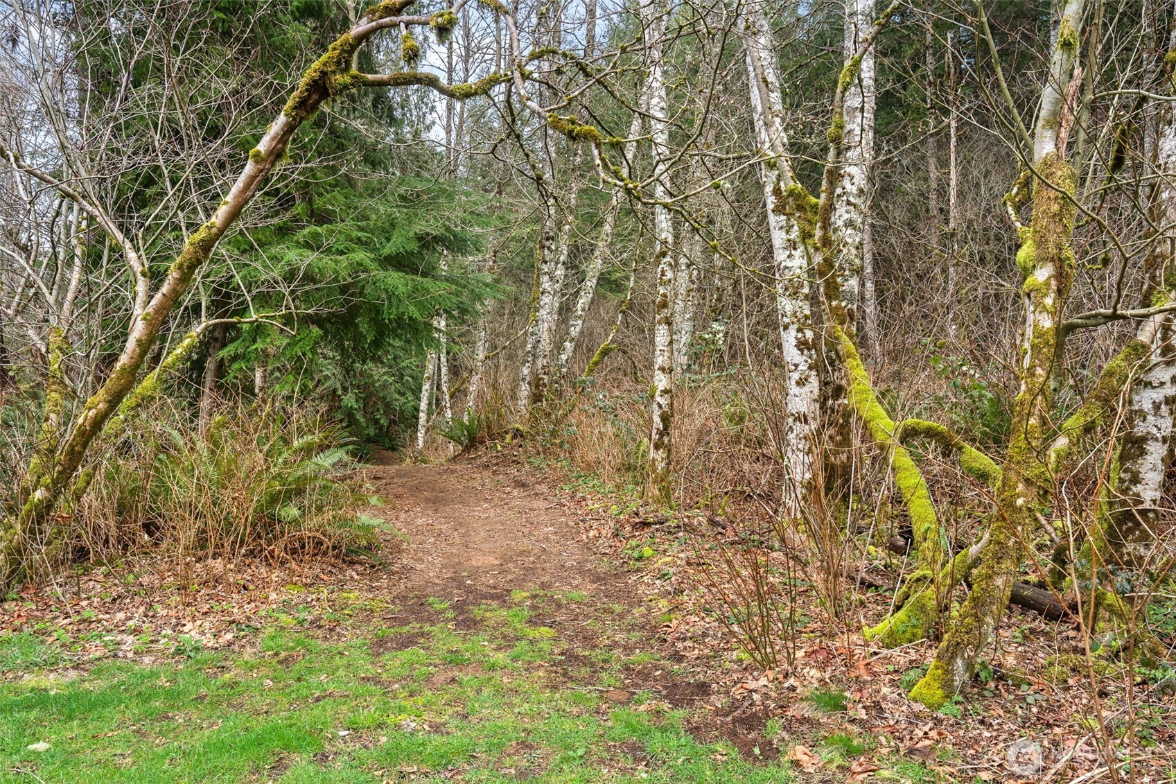 31530 SE 384th Street , Enumclaw, WA 98022