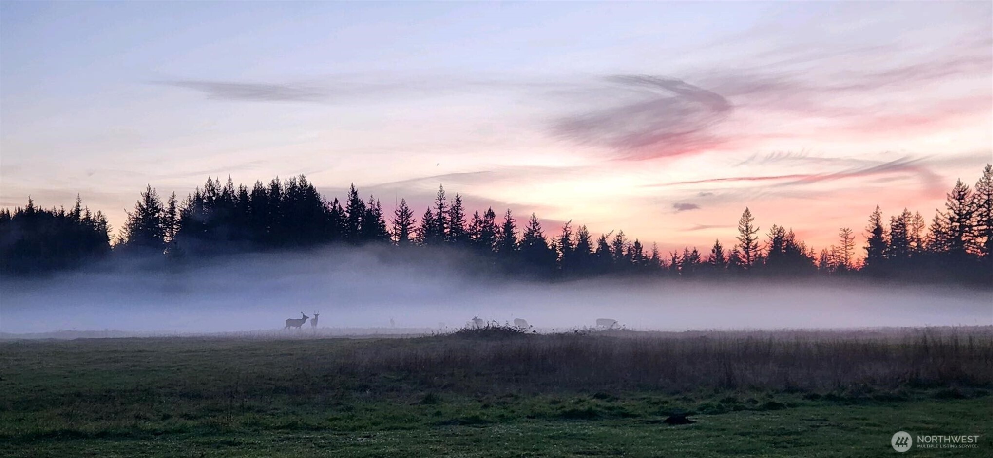 31530 SE 384th Street , Enumclaw, WA 98022