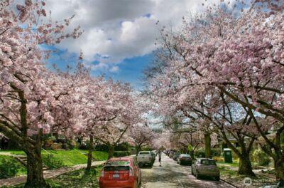 939 21st Avenue E, Seattle, WA 98112 - Photo 32